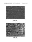 Meat Substitute Food Product And Process For Preparing The Same diagram and image