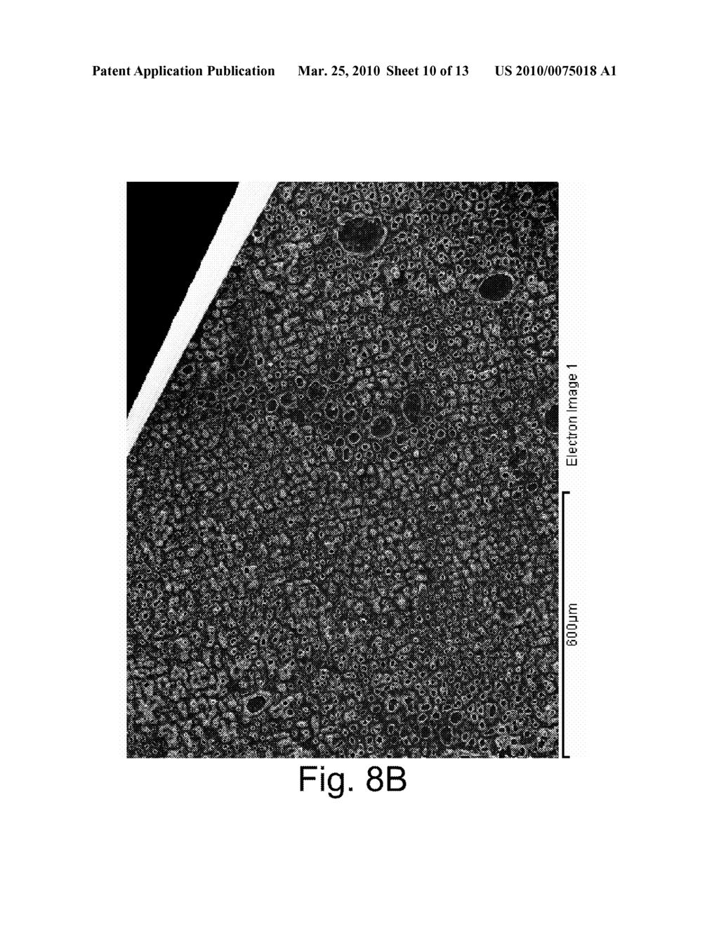 SURFACE MODIFICATION TO IMPROVE LUBRICITY, ABRASION RESISTANCE AND TEMPERATURE RESILIENCE OF LEADS - diagram, schematic, and image 11