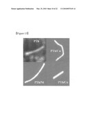 METAL-POLYMER HYBRID NANOMATERIALS, METHOD FOR PREPARING THE SAME METHOD FOR CONTROLLING OPTICAL PROPERTY OF THE SAME OPTOELECTRONIC DEVICE USING THE SAME diagram and image