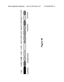 METHODS FOR TARGETTED MUTAGENESIS IN GRAM-POSITIVE BACTERIA diagram and image