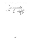 POLYMORPHISMS IN GENES AFFECTING CNS DISORDERS AND USES THEREOF diagram and image