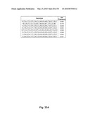 POLYMORPHISMS IN GENES AFFECTING CNS DISORDERS AND USES THEREOF diagram and image