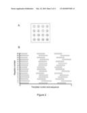 INTERMITTENT DETECTION DURING ANALYTICAL REACTIONS diagram and image