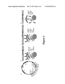 YEAST SURFACE TWO-HYBRID SYSTEM FOR QUANTITATIVE DETECTION OF PROTEIN-PROTEIN INTERACTIONS diagram and image