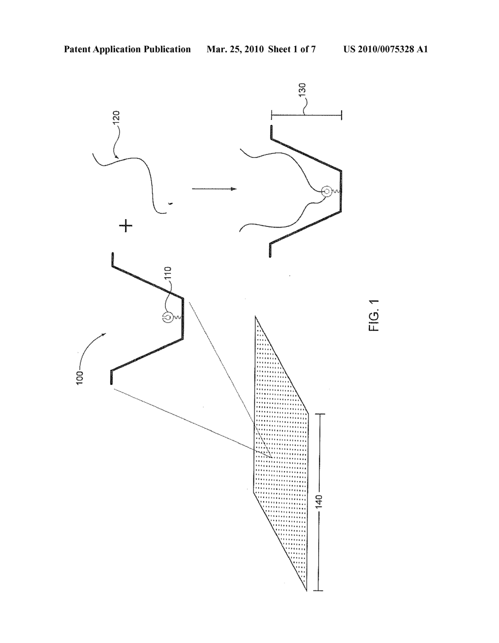 IMMOBILIZED NUCLEIC ACID COMPLEXES FOR SEQUENCE ANALYSIS - diagram, schematic, and image 02