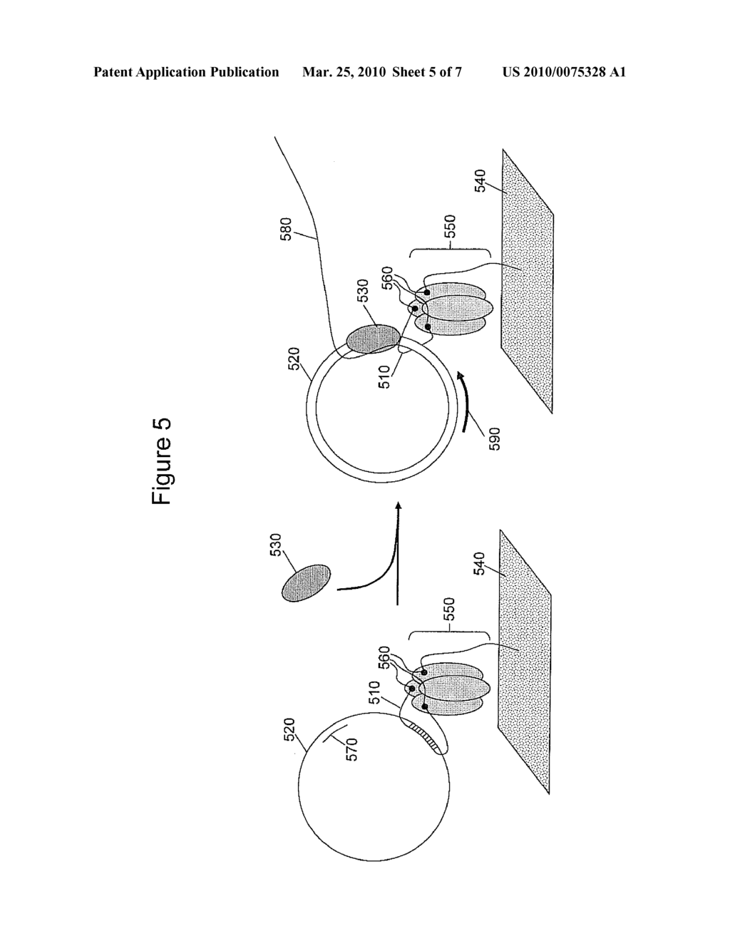 IMMOBILIZED NUCLEIC ACID COMPLEXES FOR SEQUENCE ANALYSIS - diagram, schematic, and image 06