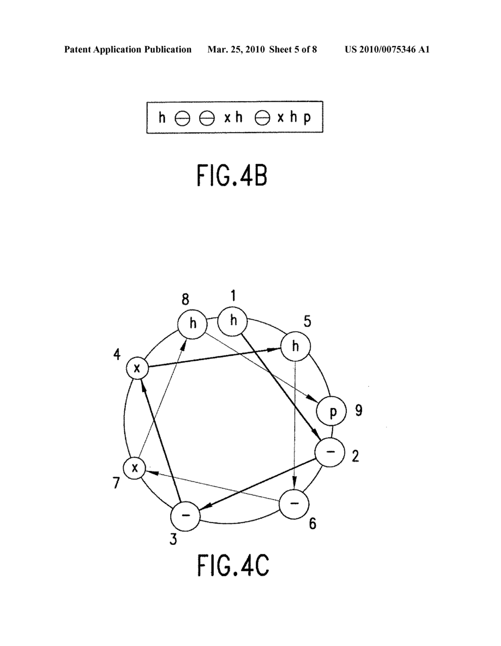 FRET PROTEASE ASSAYS FOR CLOSTRIDIAL TOXINS - diagram, schematic, and image 06