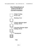 RAPID ELISA PROCESSES AND RELATED COMPOSITIONS diagram and image