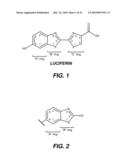 BIOLUMINESCENT DETECTION OF CYANOHYDROXY BENZOTHIAZOLE COMPOUNDS diagram and image