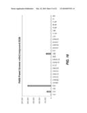 BIOLUMINESCENT DETECTION OF CYANOHYDROXY BENZOTHIAZOLE COMPOUNDS diagram and image