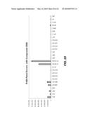 BIOLUMINESCENT DETECTION OF CYANOHYDROXY BENZOTHIAZOLE COMPOUNDS diagram and image