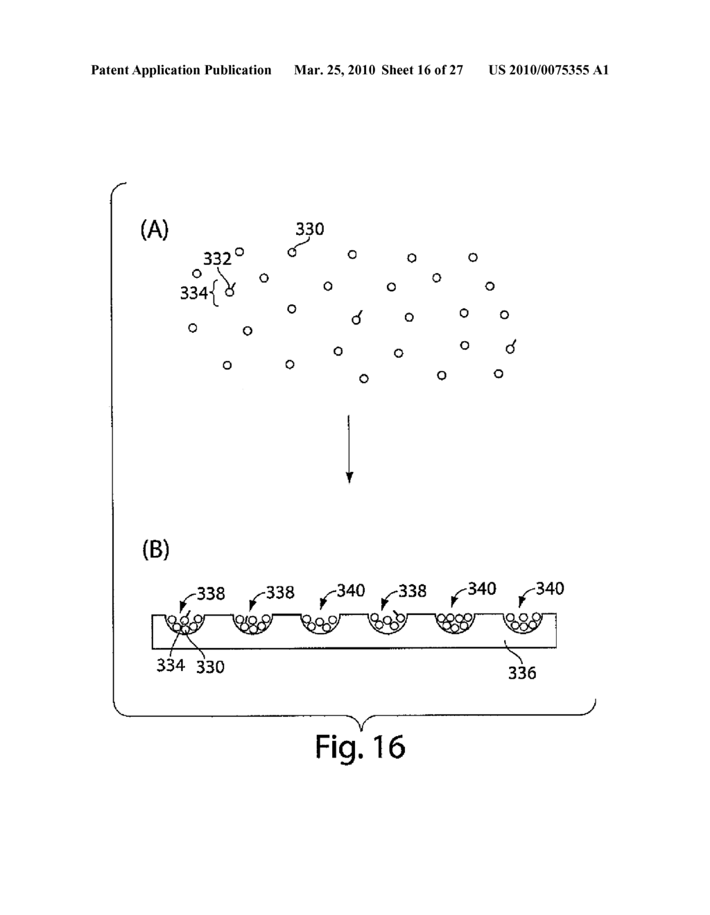 ULTRA-SENSITIVE DETECTION OF ENZYMES BY CAPTURE-AND-RELEASE FOLLOWED BY QUANTIFICATION - diagram, schematic, and image 17