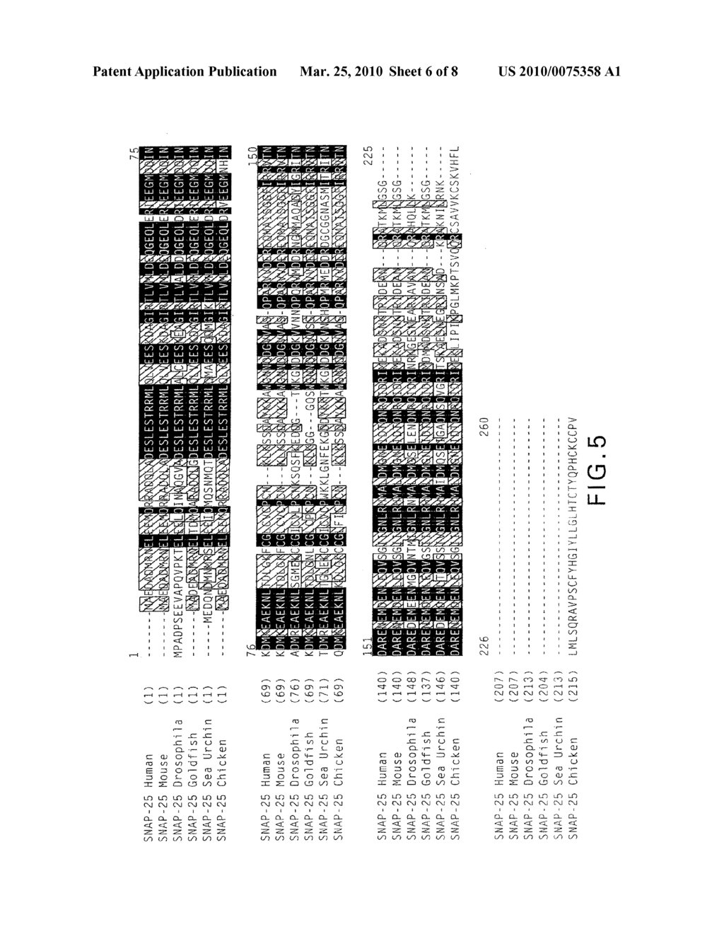 FRET PROTEASE ASSAYS FOR CLOSTRIDIAL TOXINS - diagram, schematic, and image 07