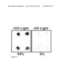 Methods for capturing nascent proteins diagram and image