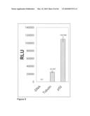 Methods for capturing nascent proteins diagram and image