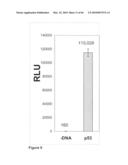 Methods for capturing nascent proteins diagram and image