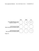 Methods for capturing nascent proteins diagram and image