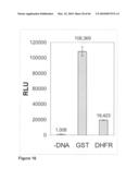 Methods for capturing nascent proteins diagram and image