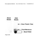 Methods for capturing nascent proteins diagram and image