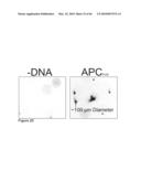 Methods for capturing nascent proteins diagram and image