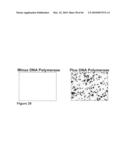 Methods for capturing nascent proteins diagram and image