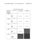 DNase Expression in Recombinant Host Cells diagram and image