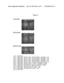 DNase Expression in Recombinant Host Cells diagram and image