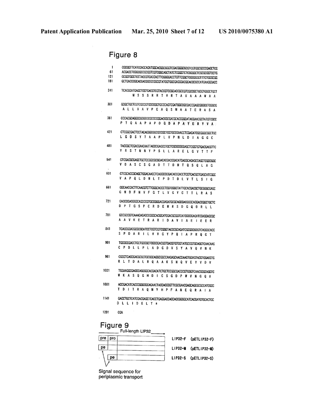 Novel Lipase - diagram, schematic, and image 08