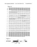 Novel Lipase diagram and image