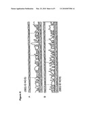 Helicase-dependent amplification of circular nucleic acids diagram and image