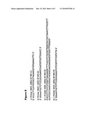 Helicase-dependent amplification of circular nucleic acids diagram and image