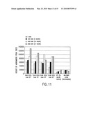 METHODS FOR PROTEIN REFOLDING diagram and image