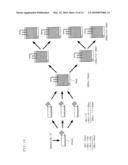 CELL CULTURE APPARATUS, CELL CULTURE SYSTEM AND CELL CULTURE METHOD diagram and image