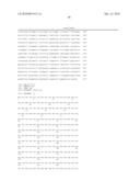 T1R TASTE RECEPTORS AND GENES ENCODING SAME diagram and image