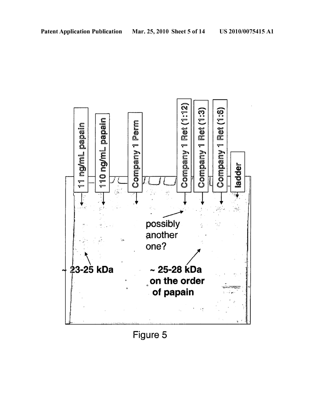 METHOD FOR REDUCING PROTEASE ACTIVITY IN PLANT HYDROLYSATE - diagram, schematic, and image 06