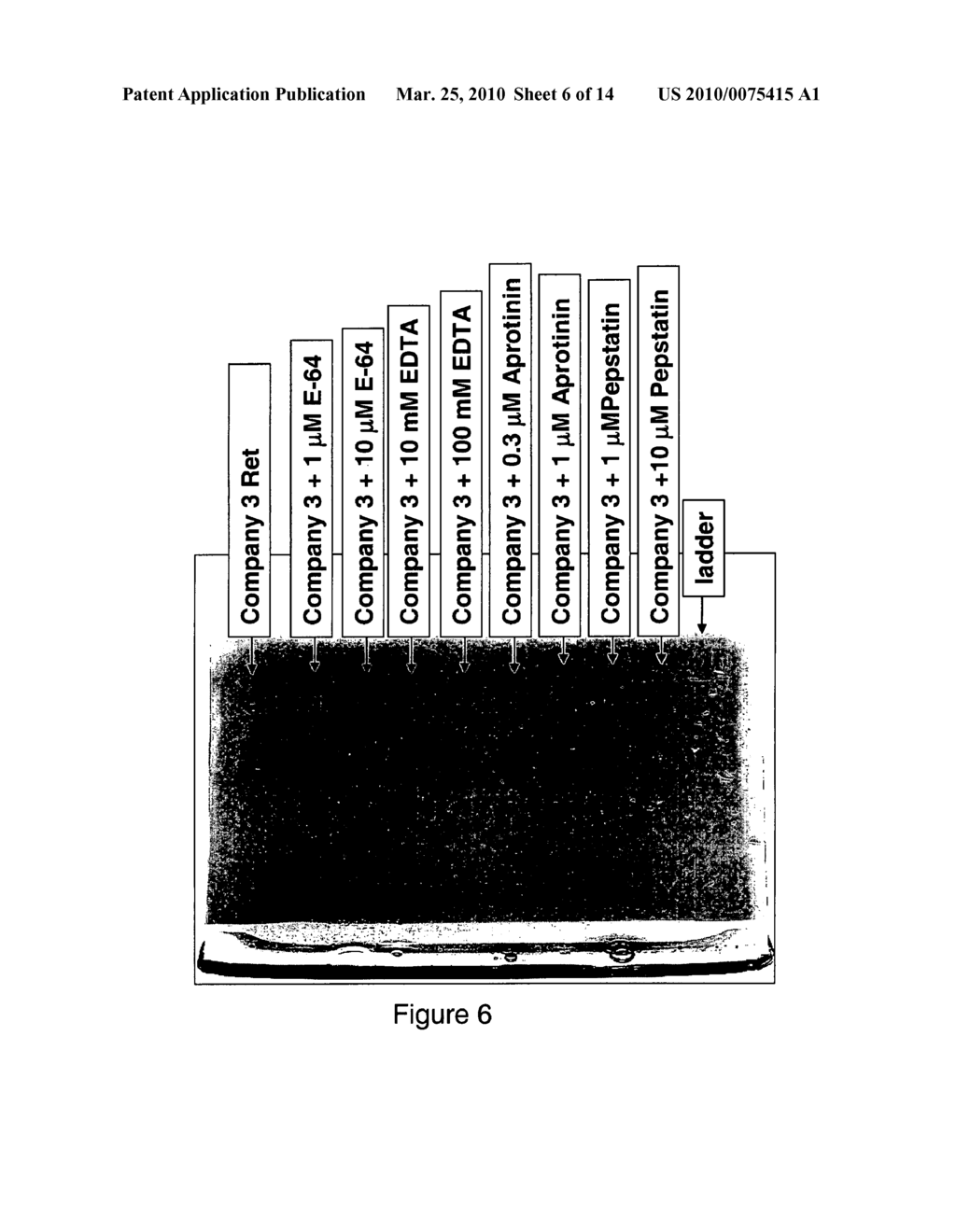 METHOD FOR REDUCING PROTEASE ACTIVITY IN PLANT HYDROLYSATE - diagram, schematic, and image 07