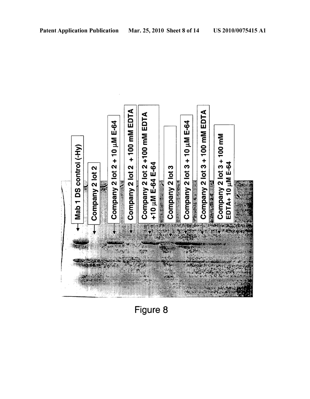 METHOD FOR REDUCING PROTEASE ACTIVITY IN PLANT HYDROLYSATE - diagram, schematic, and image 09