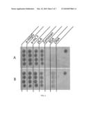 MEASUREMENT OF COMPLEMENT ACTIVATION PRODUCTS ON ANTIGEN ARRAYS diagram and image