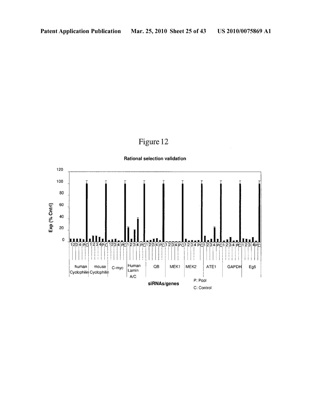 siRNA targeting TATA box binding protein (TBP)-associated factor (TAF1) - diagram, schematic, and image 26