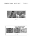 Carbon nanotube composite scaffolds for bone tissue engineering diagram and image