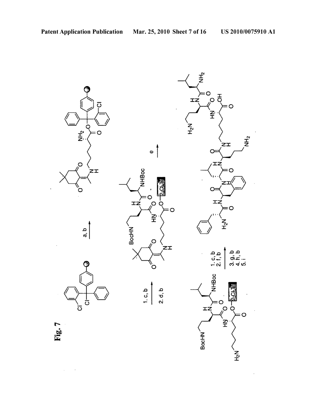 SYNTHETIC PEPTIDE AMIDES AND DIMERIC FORMS THEREOF - diagram, schematic, and image 08