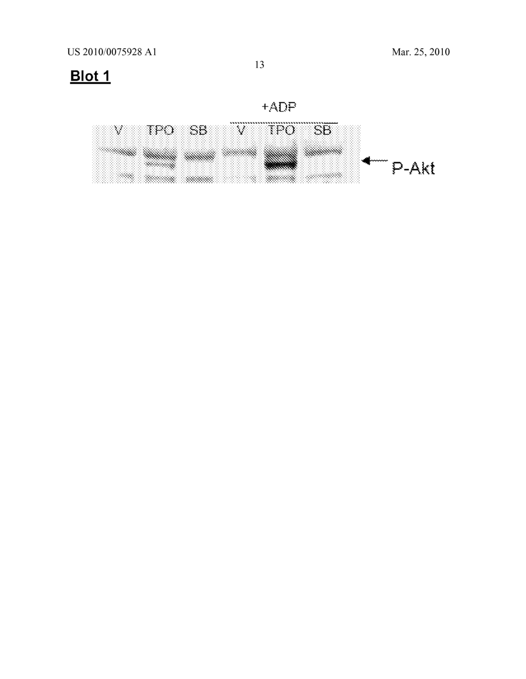 CANCER TREATMENT METHOD - diagram, schematic, and image 17