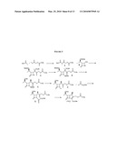 GRAM-POSITIVE CARBAPENEM ANTIBACTERIALS AND PROCESSES FOR THEIR PREPARATION diagram and image