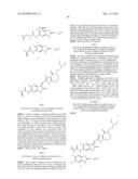 PYRROLO-NITROGENOUS HETEROCYCLIC DERIVATIES,THE PREPARATION AND THE PHARMCETICAL USE THEEOF diagram and image