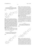 PYRROLO-NITROGENOUS HETEROCYCLIC DERIVATIES,THE PREPARATION AND THE PHARMCETICAL USE THEEOF diagram and image