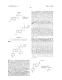 MODULATORS OF GLUCOCORTICOID RECEPTOR, AP-1, AND/OR NF-kB ACTIVITY AND USE THEREOF diagram and image