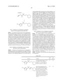 Compounds Which Selectively Modulate The CB2 Receptor diagram and image