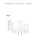 METHOD OF EVALUATING COMPOUND EFFICACIOUS IN TREATING OBESITY BY USING Slc25a10 diagram and image