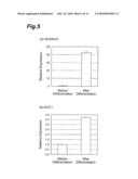 METHOD OF EVALUATING COMPOUND EFFICACIOUS IN TREATING OBESITY BY USING Slc25a10 diagram and image