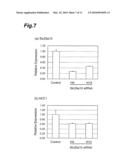 METHOD OF EVALUATING COMPOUND EFFICACIOUS IN TREATING OBESITY BY USING Slc25a10 diagram and image